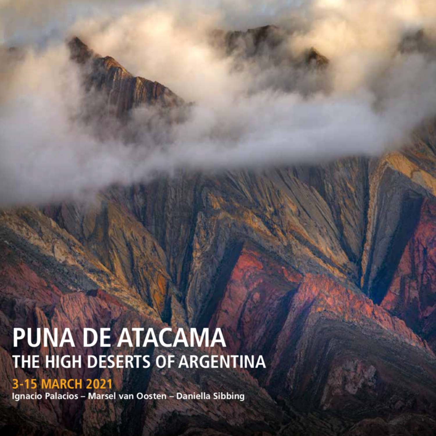 Puna De Atacama Photography Tour Ignacio Palacios and Marsel Van Oosten