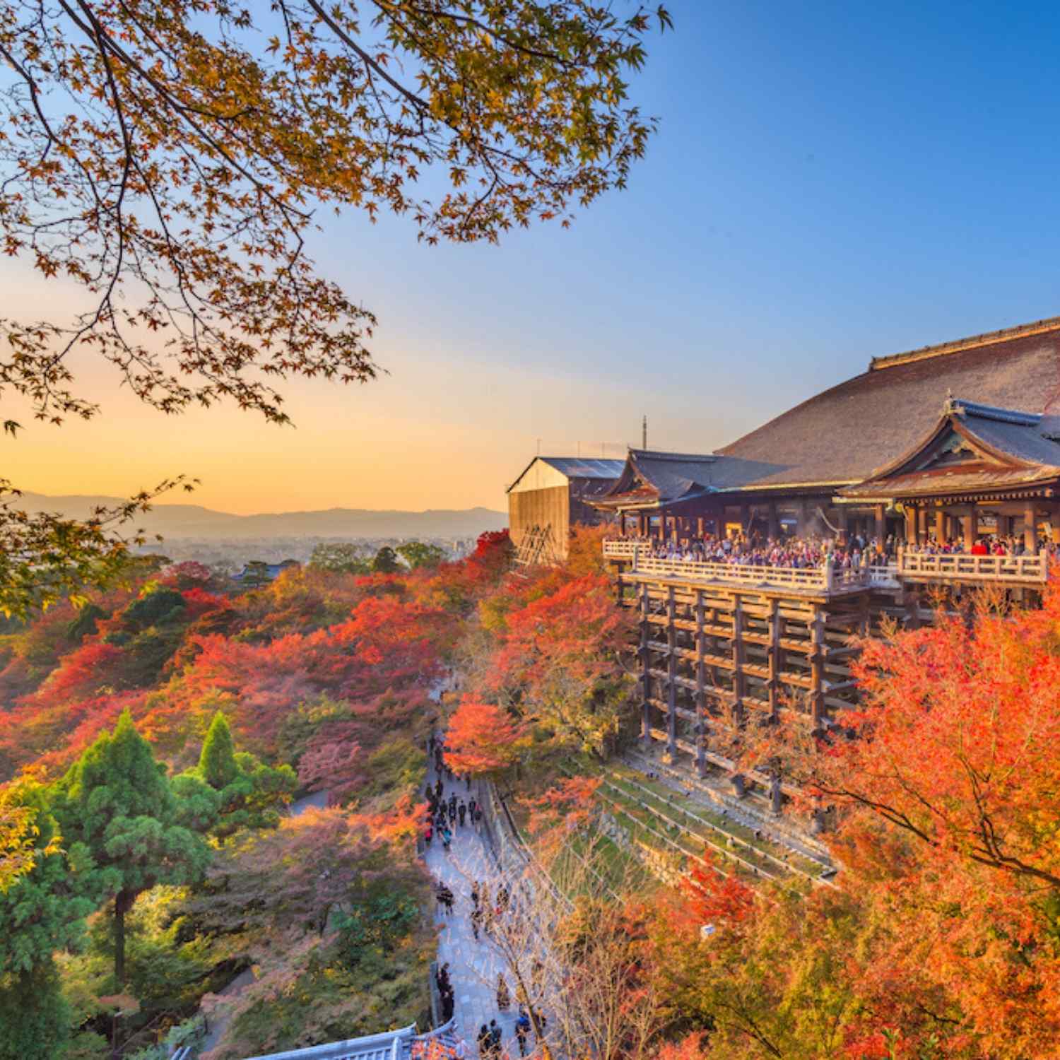 Photography tour to Japan in Autumn Kiyomizu-dera Temple