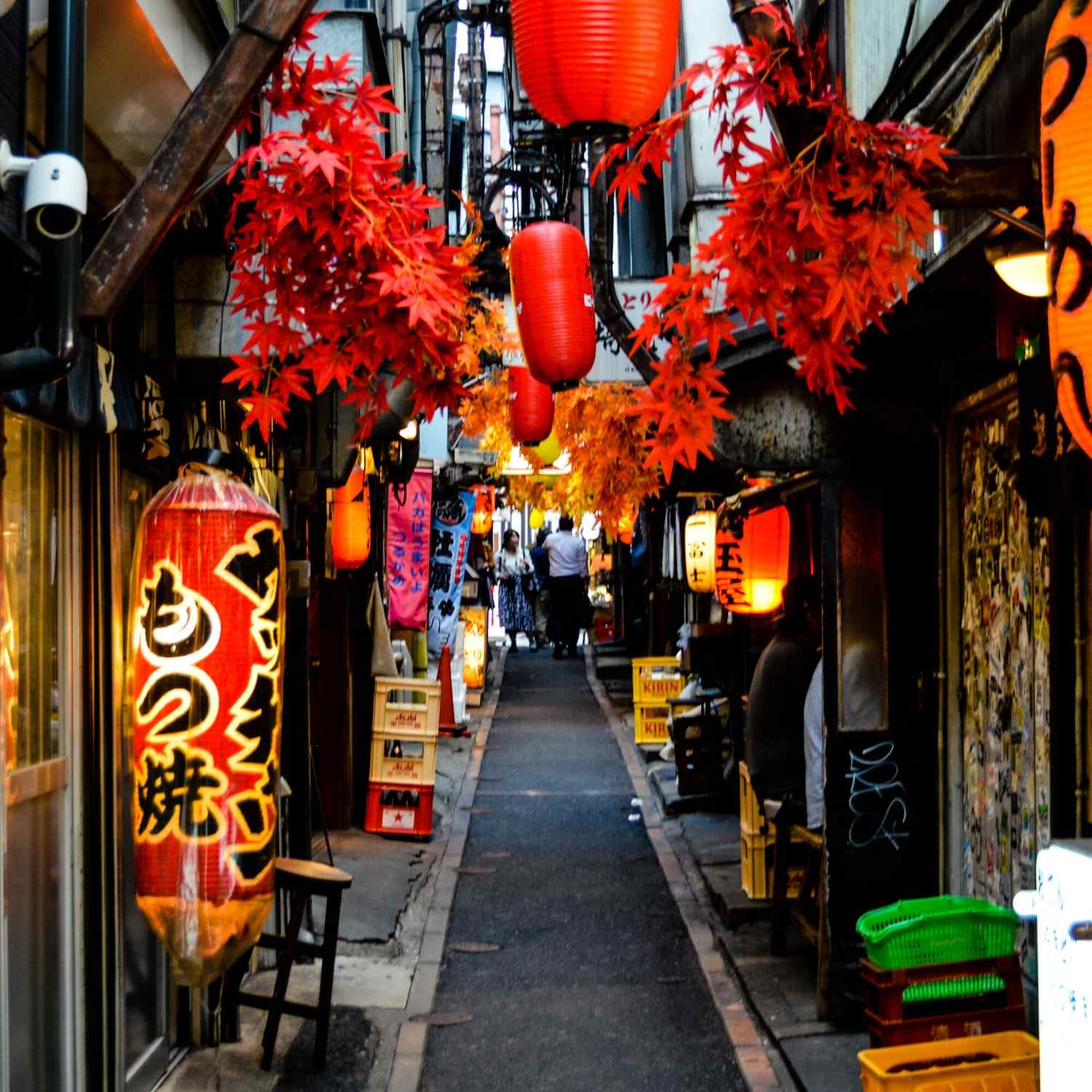 Japan in Autumn Photography Tour Tokyo