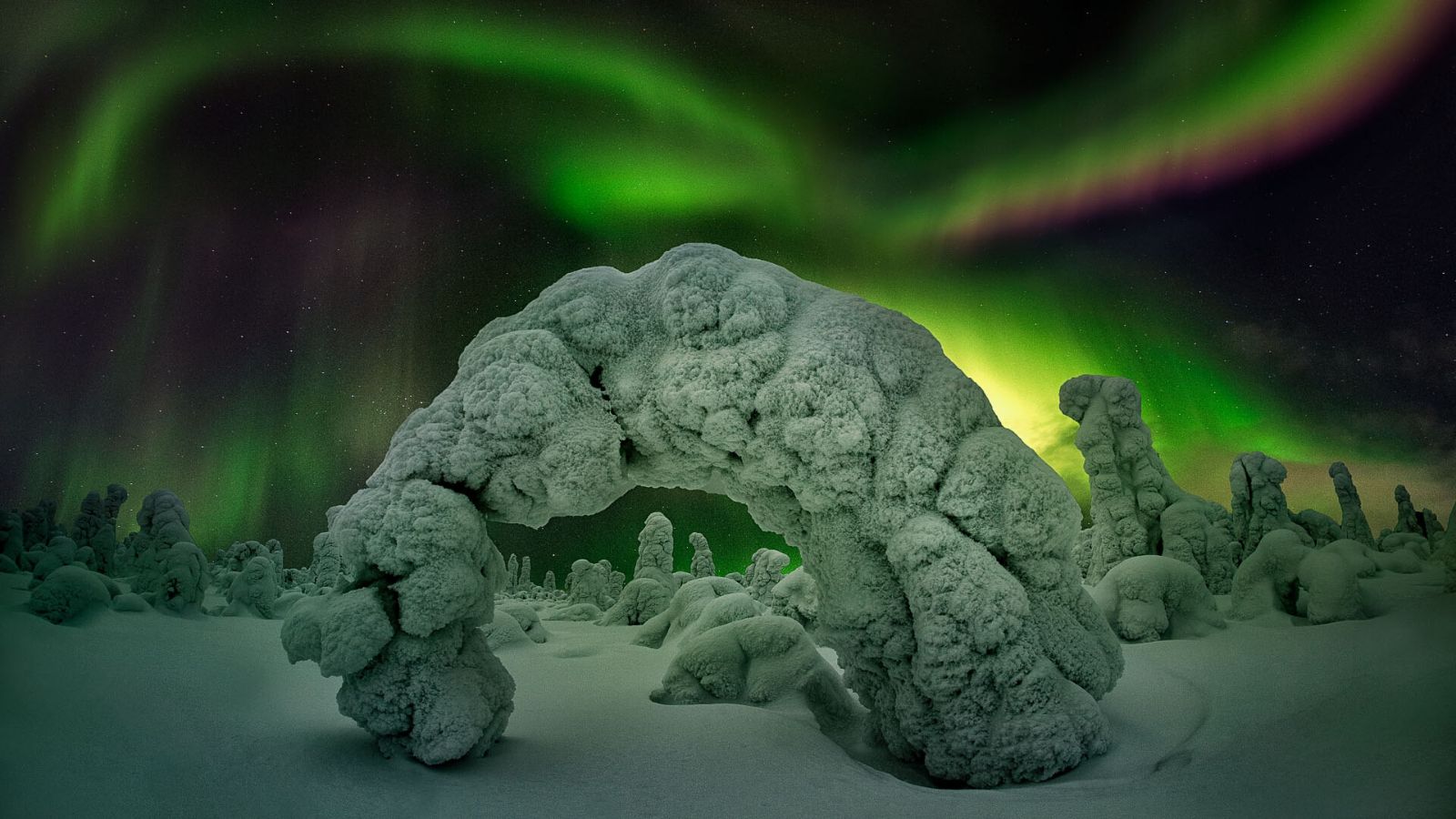 Northern Lights and Frozen Tree of Lapland photographed by award-winning landscape photographer Ignacio Palacio