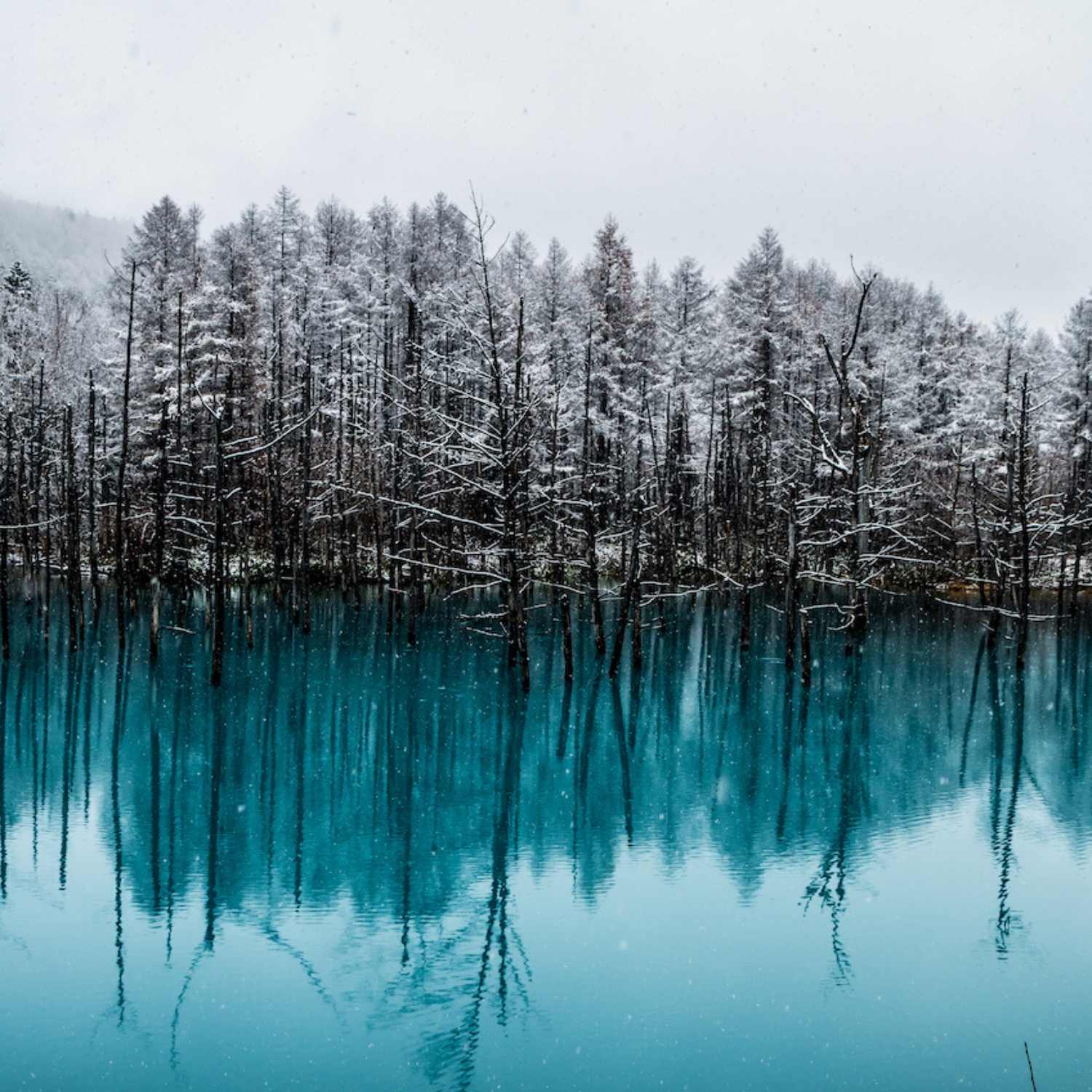 Bieii Blue Pond Japan in Winter Photography Tour with Ignacio Palacios