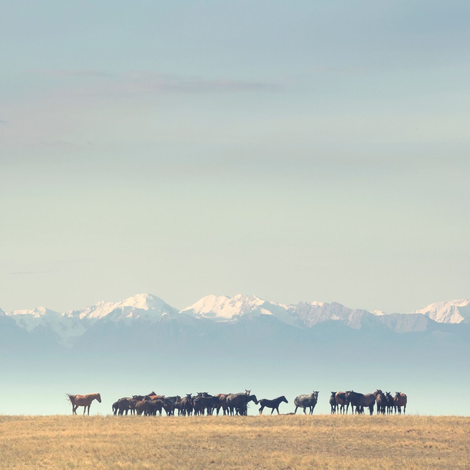 Central Asia & the Silk Road Photography Tour to Kyrgyzstan Tajikistan and Uzbekistan with award-winning travel photographer Ignacio Palacios